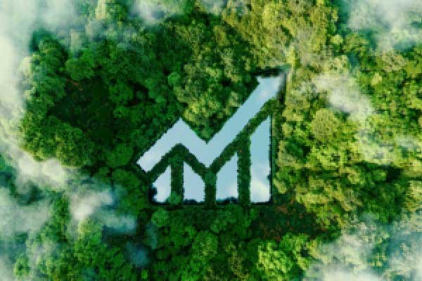 西藏水资源发盈喜 预计中期净利润同比增长约300%